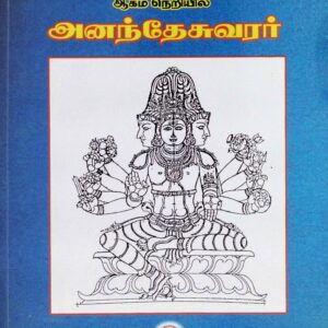 ஆகம நெறியில் அனந்தேசுவரர்