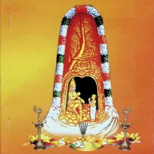 சைவ அநுட்டான விதி