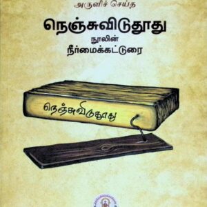 நெஞ்சுவிடு துாது நுாலின் நீர்மைக் கட்டுரை