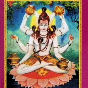 திவ்யாபிஷேக விதி (தெய்வத் திருமஞ்சன முறை)