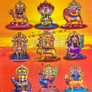கோயில் விழாக்களின் வாஹன உலா