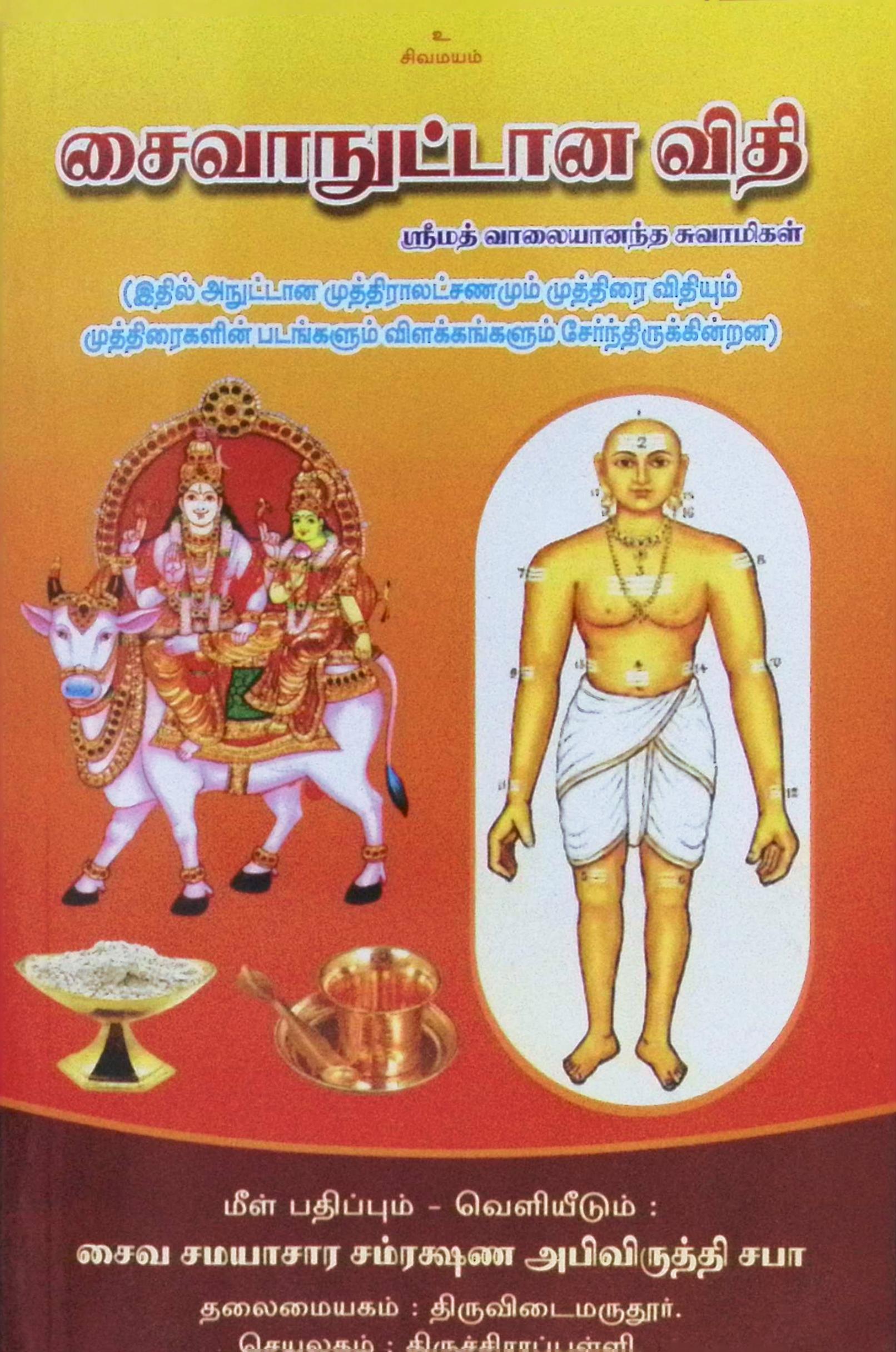 சைவாநுட்டான விதி