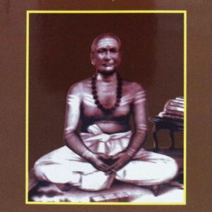 ஸ்ரீமீனாட்சிசுந்தரம் பிள்ளையவர்கள் சரித்திரம்